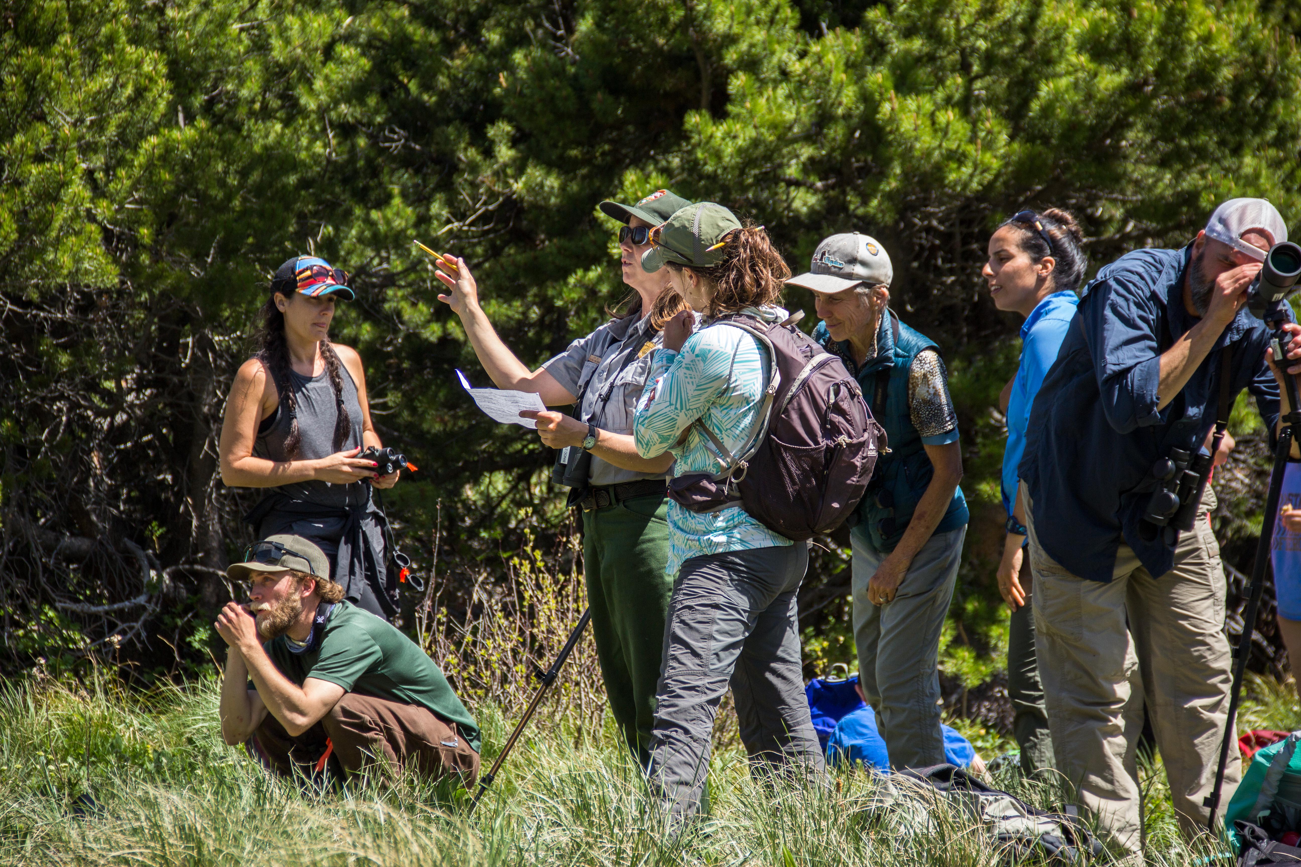 The Importance of Citizen Science in Ecological Research