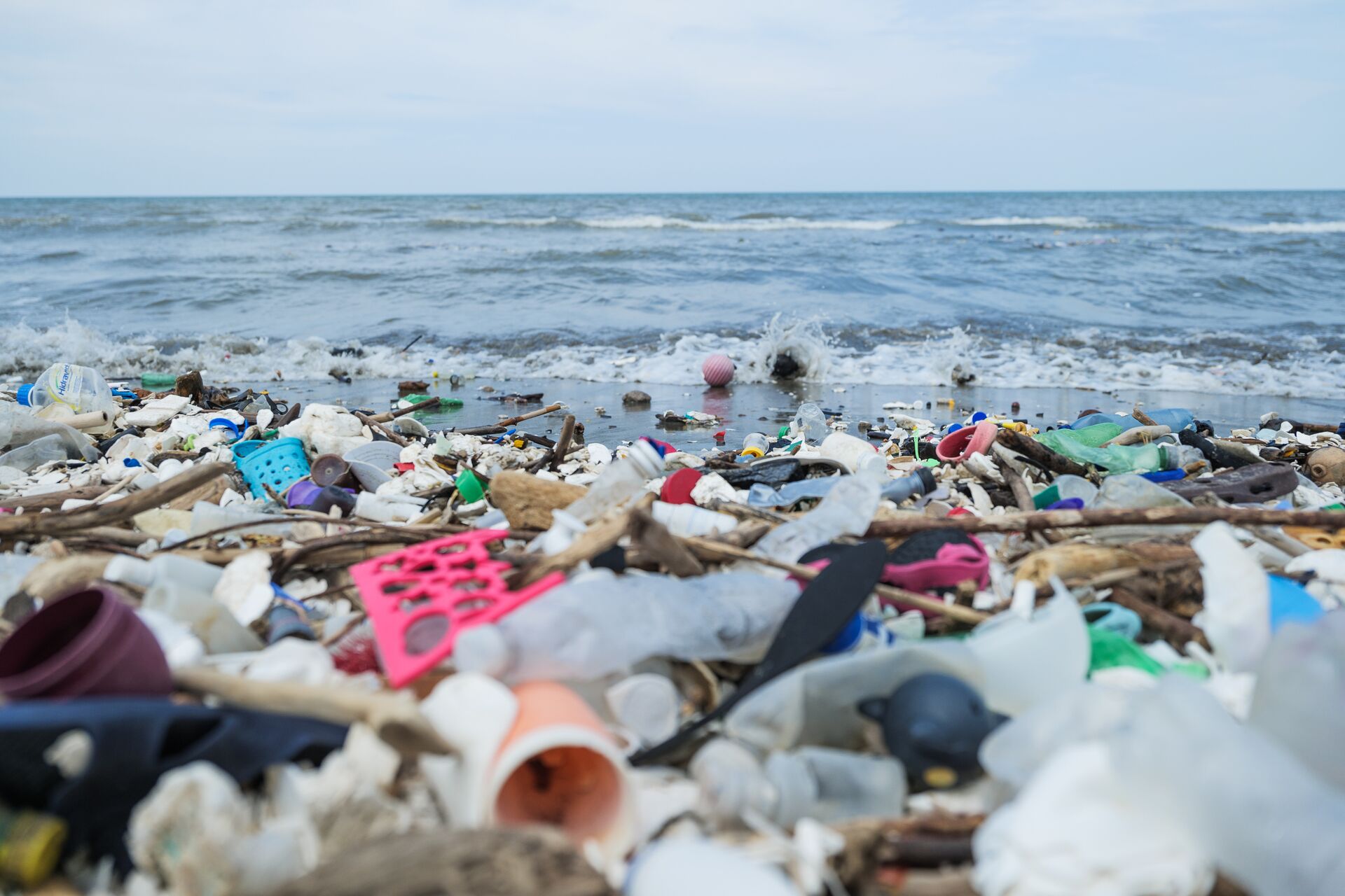 The Impact of Plastic Pollution on Marine Ecosystems